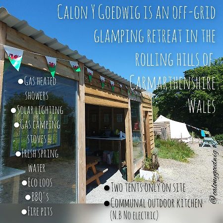 Calon Y Goedwig Glamping Hotel Llandovery Exterior foto