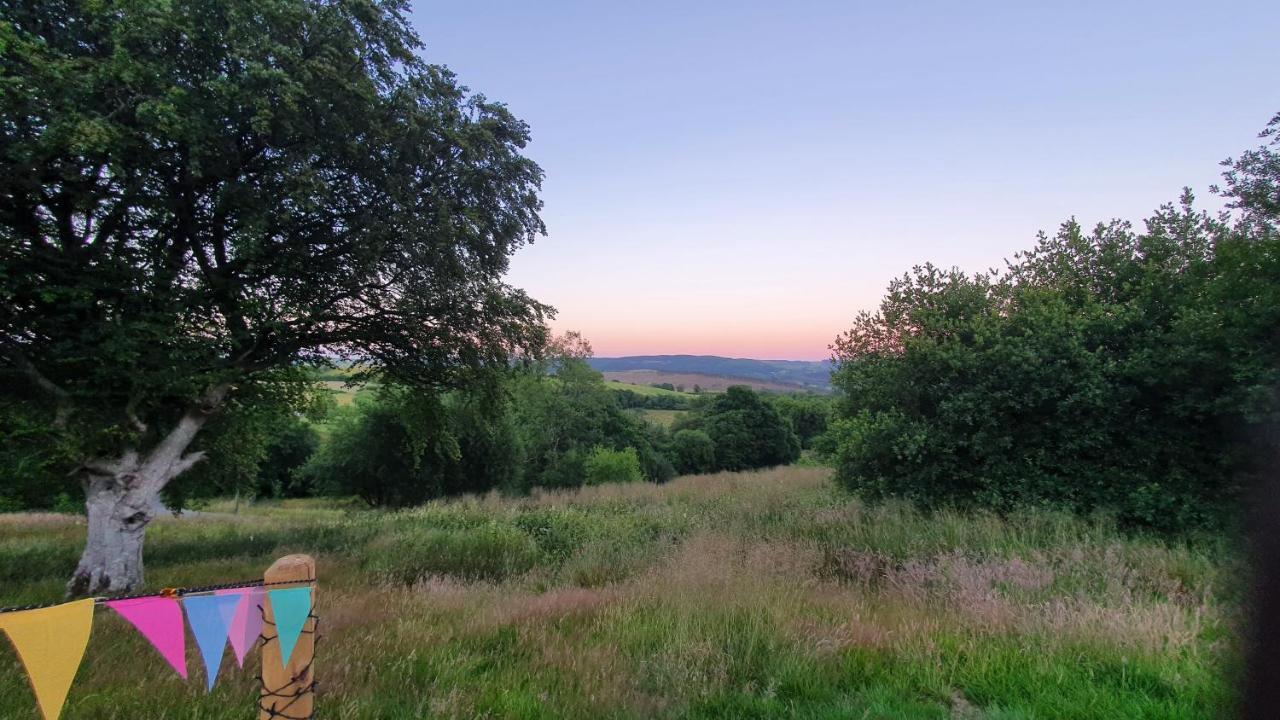Calon Y Goedwig Glamping Hotel Llandovery Exterior foto