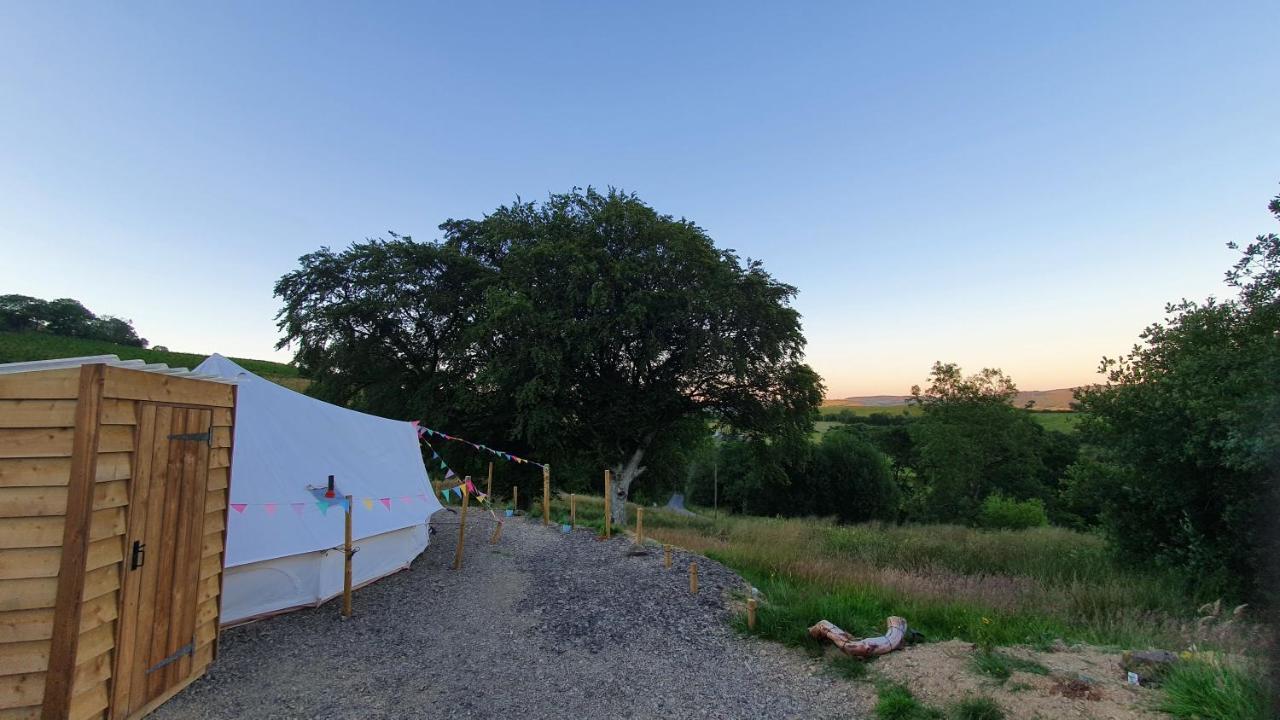 Calon Y Goedwig Glamping Hotel Llandovery Exterior foto