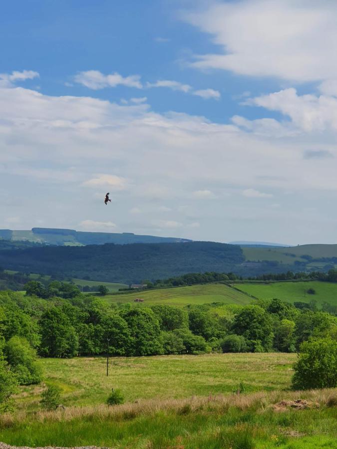 Calon Y Goedwig Glamping Hotel Llandovery Exterior foto