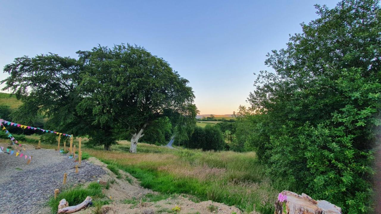 Calon Y Goedwig Glamping Hotel Llandovery Exterior foto