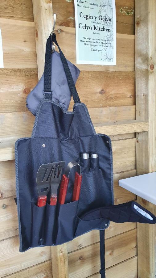 Calon Y Goedwig Glamping Hotel Llandovery Exterior foto