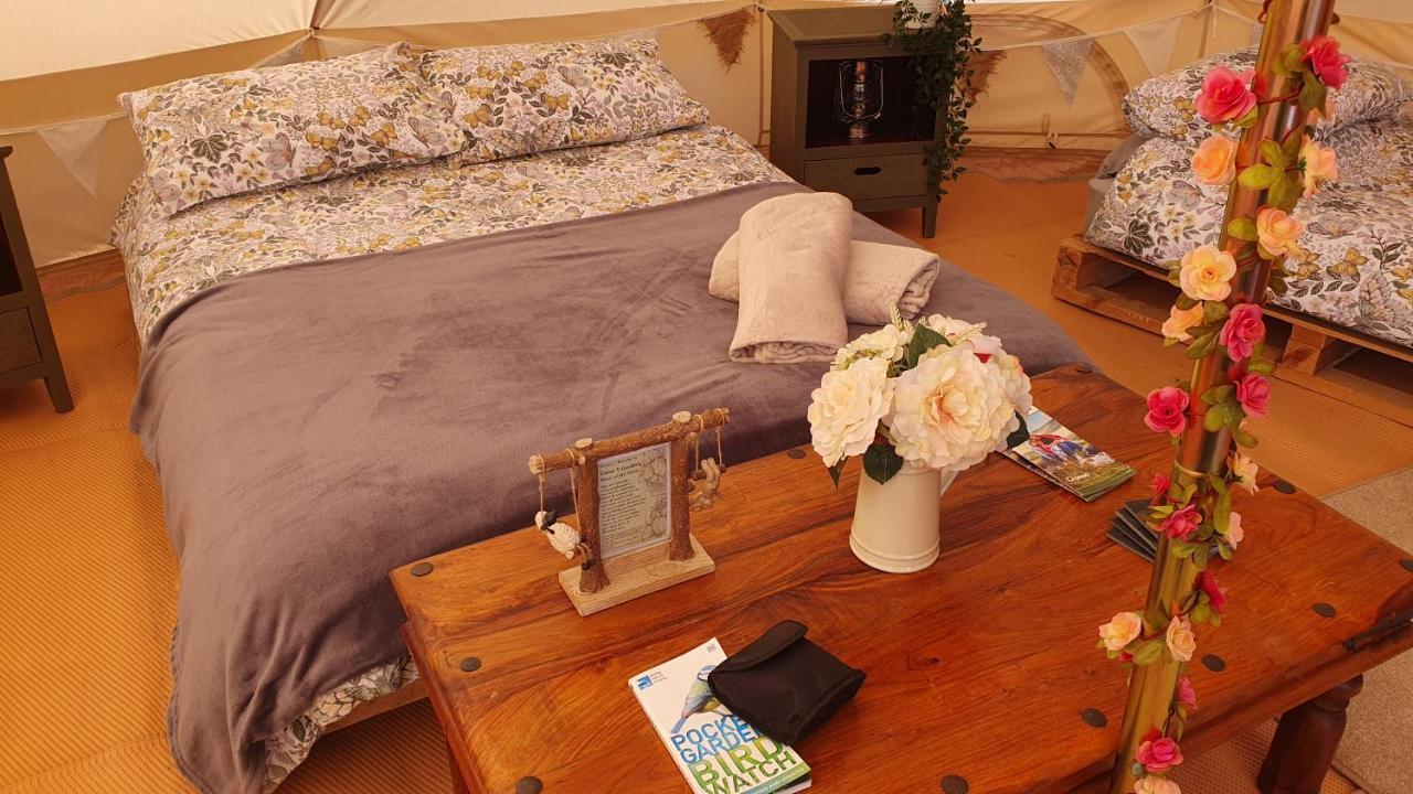 Calon Y Goedwig Glamping Hotel Llandovery Exterior foto