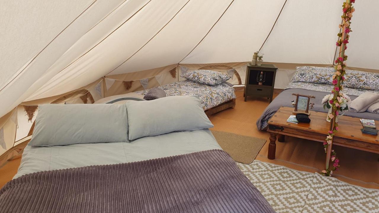 Calon Y Goedwig Glamping Hotel Llandovery Exterior foto