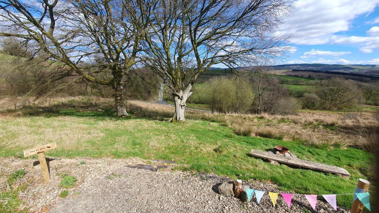 Calon Y Goedwig Glamping Hotel Llandovery Exterior foto