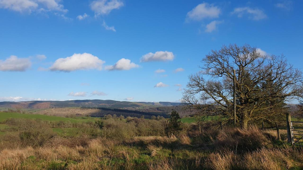 Calon Y Goedwig Glamping Hotel Llandovery Exterior foto
