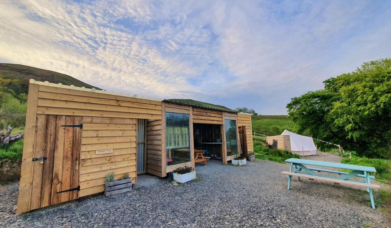 Calon Y Goedwig Glamping Hotel Llandovery Exterior foto