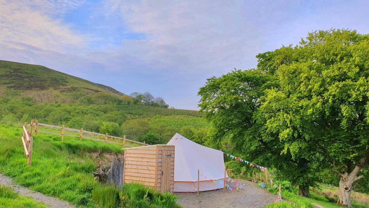 Calon Y Goedwig Glamping Hotel Llandovery Exterior foto