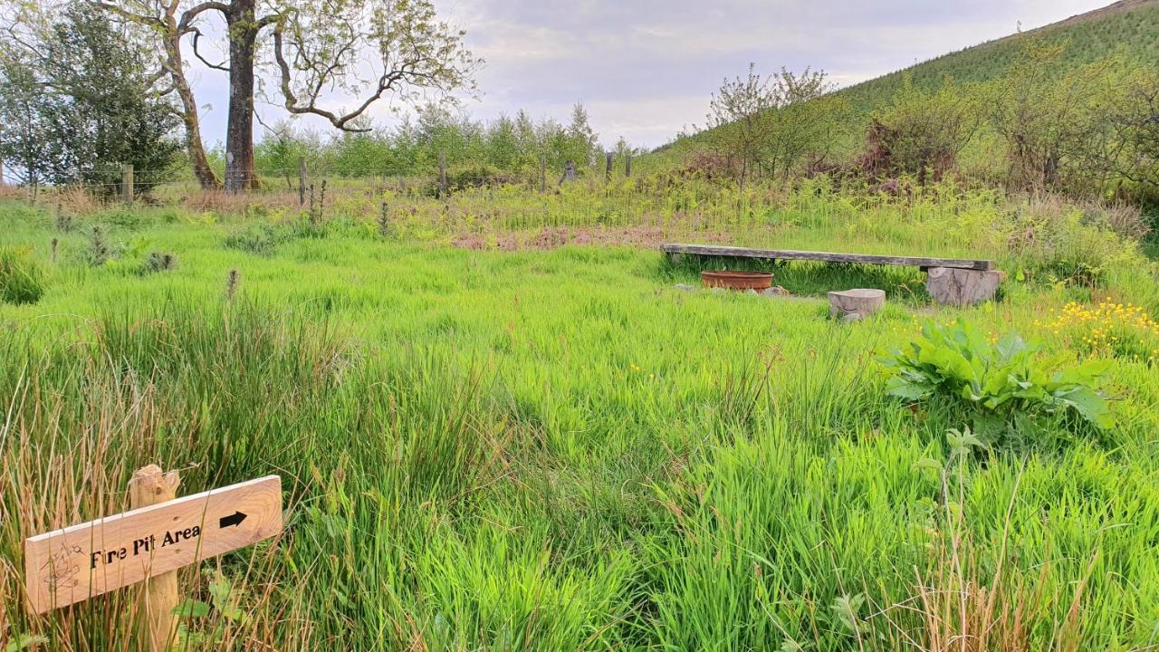 Calon Y Goedwig Glamping Hotel Llandovery Exterior foto