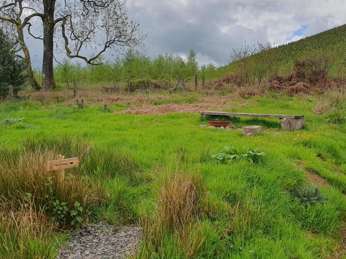 Calon Y Goedwig Glamping Hotel Llandovery Exterior foto