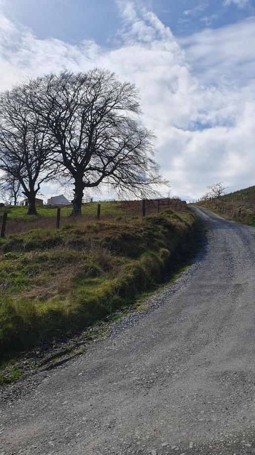 Calon Y Goedwig Glamping Hotel Llandovery Exterior foto