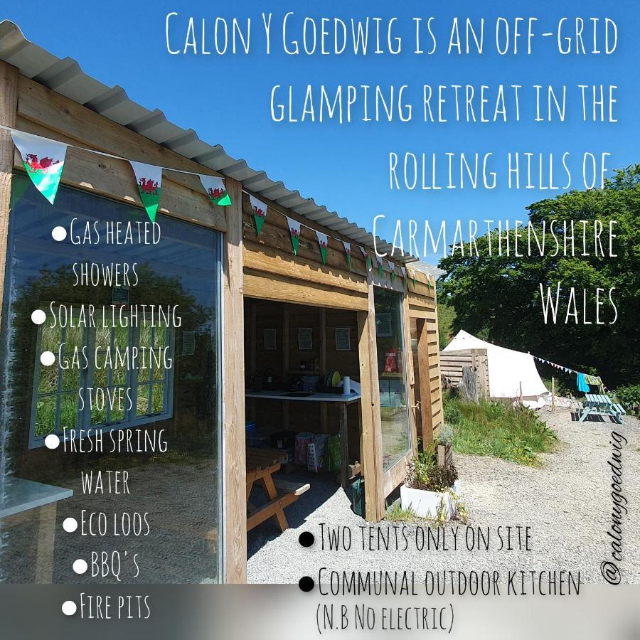 Calon Y Goedwig Glamping Hotel Llandovery Exterior foto