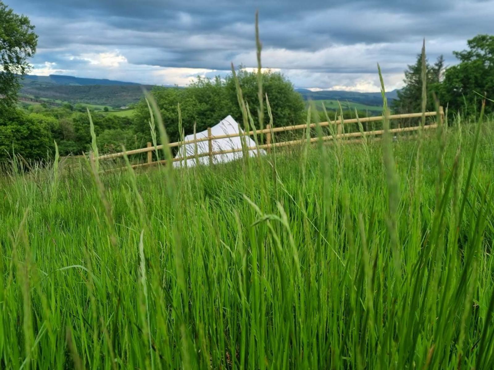 Calon Y Goedwig Glamping Hotel Llandovery Exterior foto